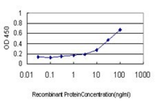 Monoclonal Anti-ARX antibody produced in