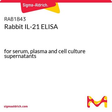 Rabbit IL-21 ELISA