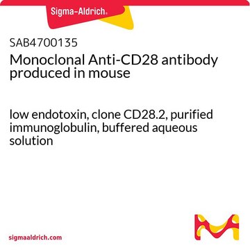Monoclonal Anti-CD28 antibody produced in