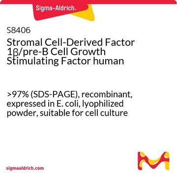 Stromal Cell-Derived Factor 1?/pre-B Cell