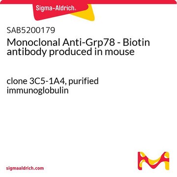 Monoclonal Anti-Grp78 - Biotin antibody