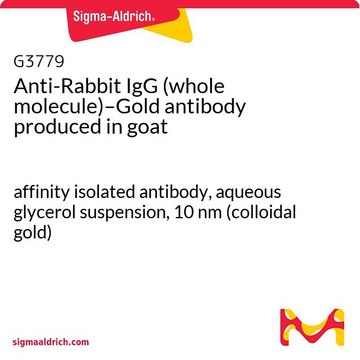 Anti-Rabbit IgG (whole molecule)–Gold antibody