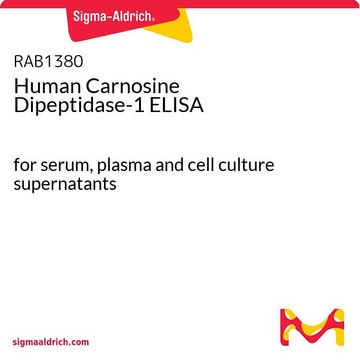 Human Carnosine Dipeptidase-1 ELISA