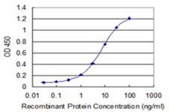 Monoclonal Anti-UBA6 antibody produced in