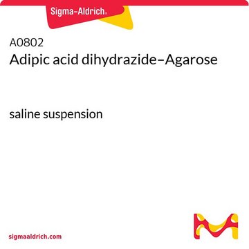 Adipic acid dihydrazide–Agarose