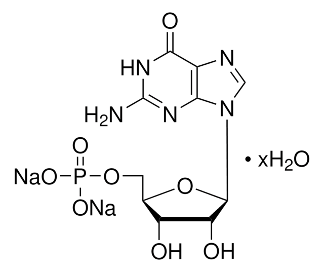 DISODIUM GUANYLATE, UNITED STATES PHARMA