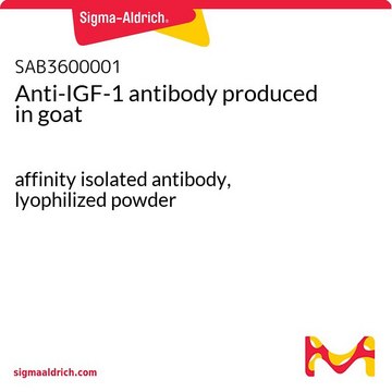 Anti-IGF-1 antibody produced in goat