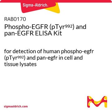 Phospho-EGFR (pTyr??²) and pan-EGFR ELISA