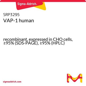 VAP-1 human