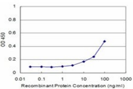 ANTI-TIE1 antibody produced in mouse