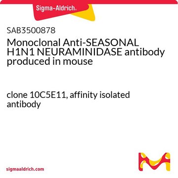 Monoclonal Anti-SEASONAL H1N1 NEURAMINIDASE antibody
