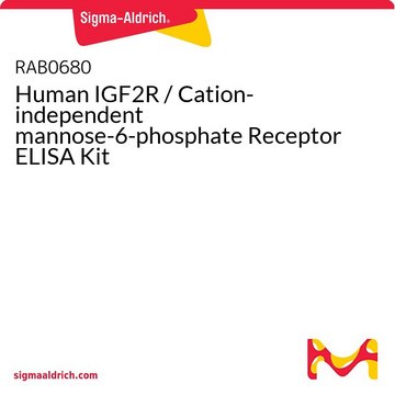 Human IGF2R / Cation-independent mannose-6-phosphate