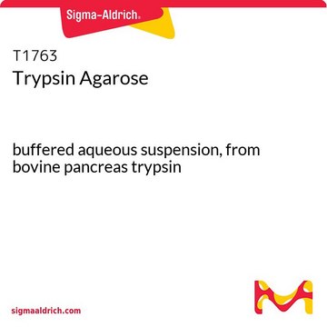Trypsin Agarose