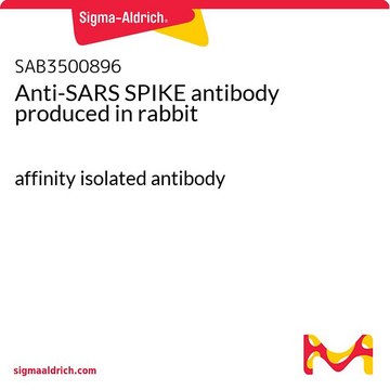 Anti-SARS SPIKE antibody produced in