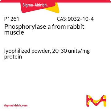 Phosphorylase a from rabbit muscle