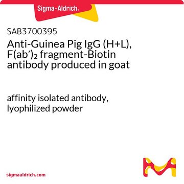 Anti-Guinea Pig IgG (H+L), F(ab?)?