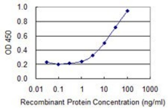 Monoclonal Anti-ATP6V1B1 antibody produced in