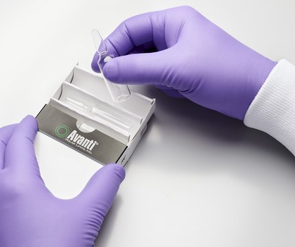 Transfection Reagent I