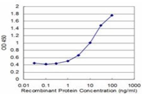 Monoclonal Anti-CTNNAL1 antibody produced in