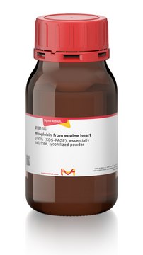 Myoglobin from equine heart