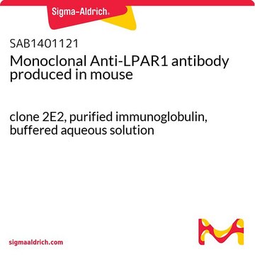 Monoclonal Anti-LPAR1 antibody produced in
