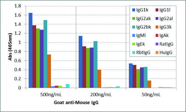 Anti-Mouse IgG-Biotin antibody, Goat monoclonal