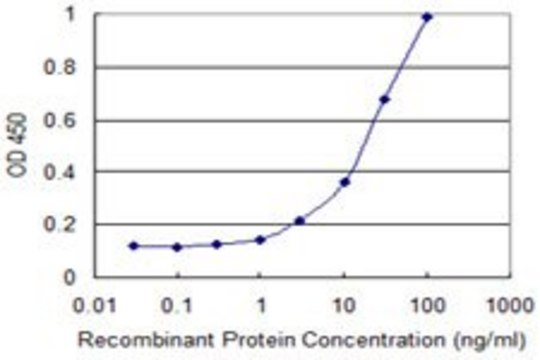 Monoclonal Anti-DAK antibody produced in