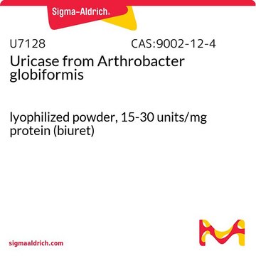 Uricase from Arthrobacter globiformis