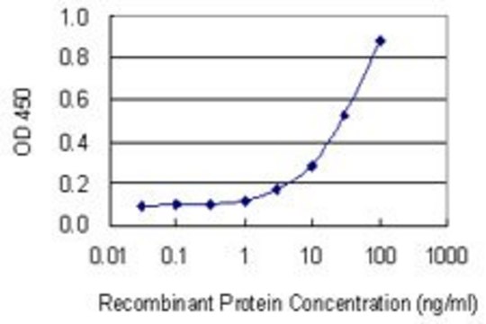 Monoclonal Anti-RAB34, (C-terminal) antibody produced