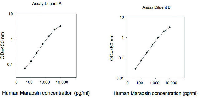 Human PRSS27 / Serine Protease