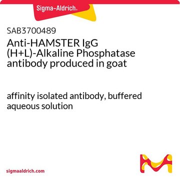 Anti-HAMSTER IgG (H+L)-Alkaline Phosphatase antibody
