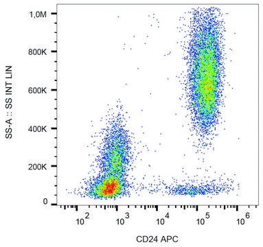 Monoclonal Anti-CD24 antibody produced in