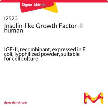 Insulin-like Growth Factor-II human