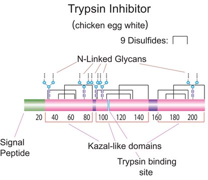 Trypsin inhibitor from chicken egg