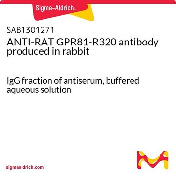 ANTI-RAT GPR81-R320 antibody produced in