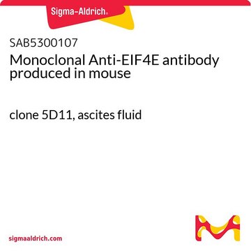 Monoclonal Anti-EIF4E antibody produced in