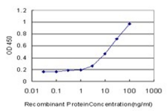 Monoclonal Anti-RPL32 antibody produced in