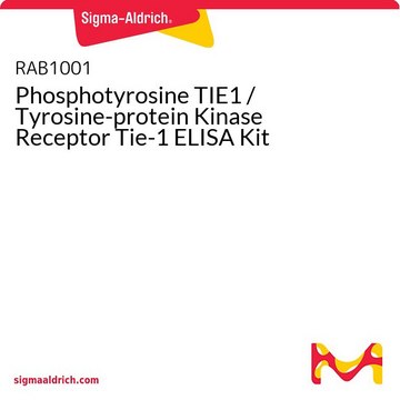 Phosphotyrosine TIE1 / Tyrosine-protein Kinase