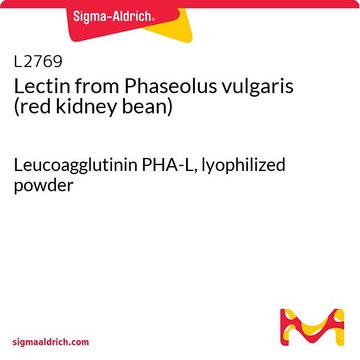 Lectin from Phaseolus vulgaris (red