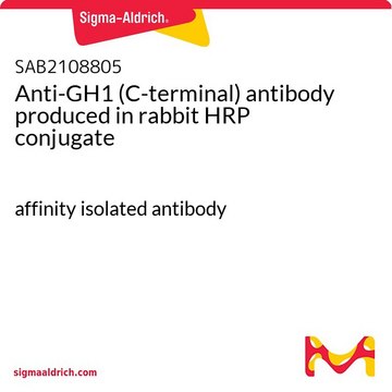 Anti-GH1 (C-terminal) antibody produced in