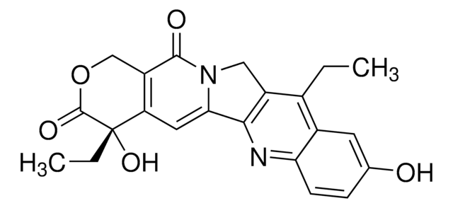 Irinotecan Related Compound B