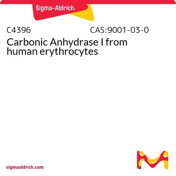 Carbonic Anhydrase I from human