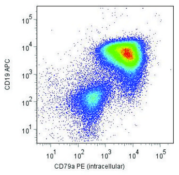 Monoclonal Anti-CD79A-PE antibody produced in