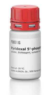 Pyridoxal 5?-phosphate hydrate