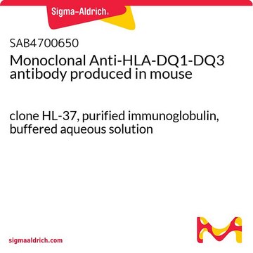Monoclonal Anti-HLA-DQ1-DQ3 antibody produced in