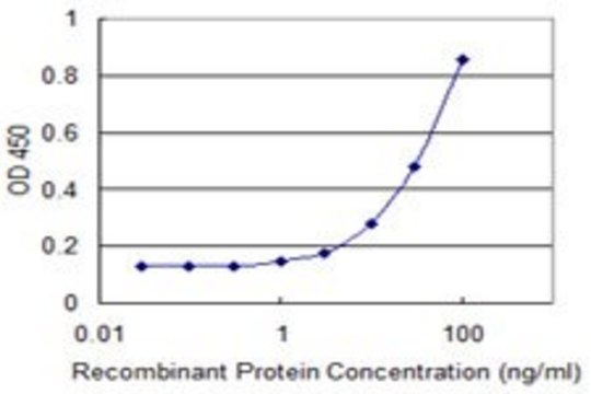Monoclonal Anti-TTLL1 antibody produced in
