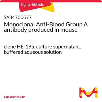 Monoclonal Anti-Blood Group A antibody