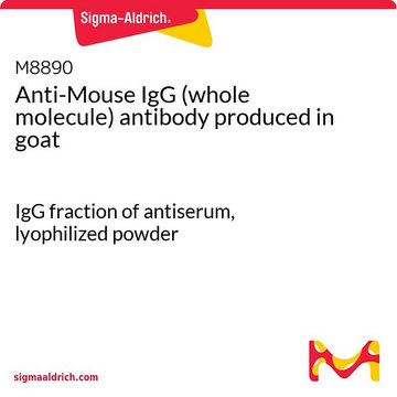Anti-Mouse IgG (whole molecule) antibody