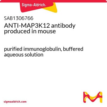 ANTI-MAP3K12 antibody produced in mouse
