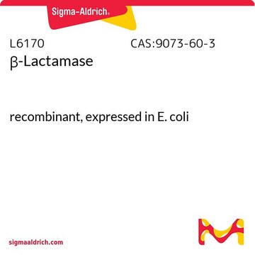 ?-Lactamase